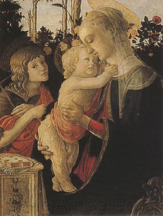 Sandro Botticelli Madonna of the Rose Garden or Madonna and Child with St john the Baptist (mk36) Germany oil painting art